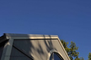DSC_0371