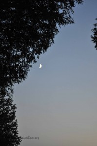DSC_0489