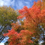 fall_2012_1