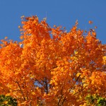 fall_2012_10