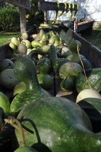 fall_2012_11