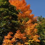 fall_2012_12