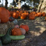 fall_2012_4