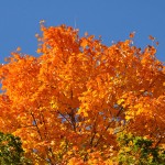fall_2012_6
